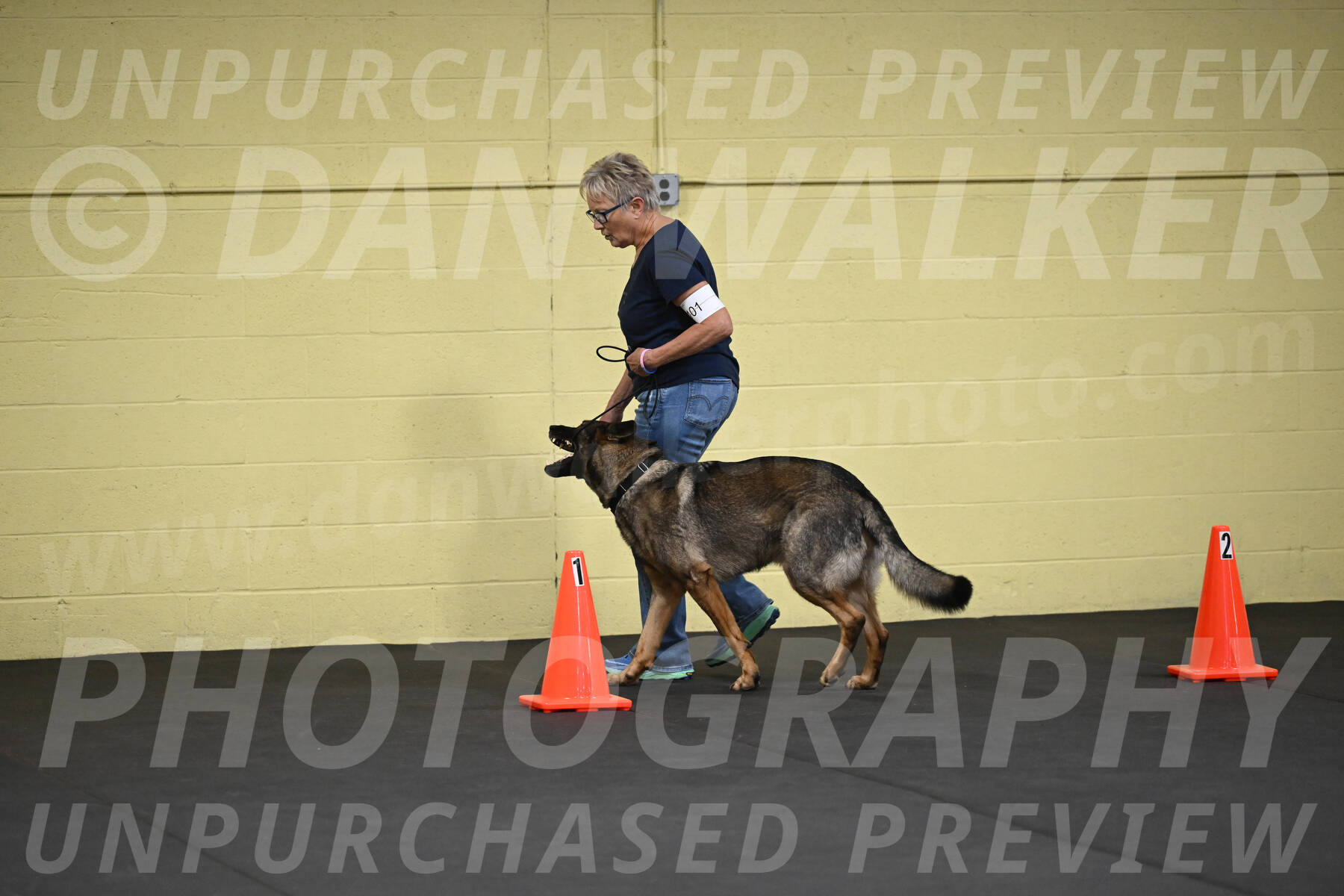 SAT101_0038