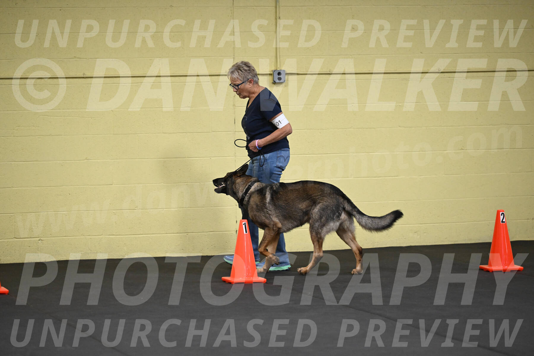 SAT101_0039