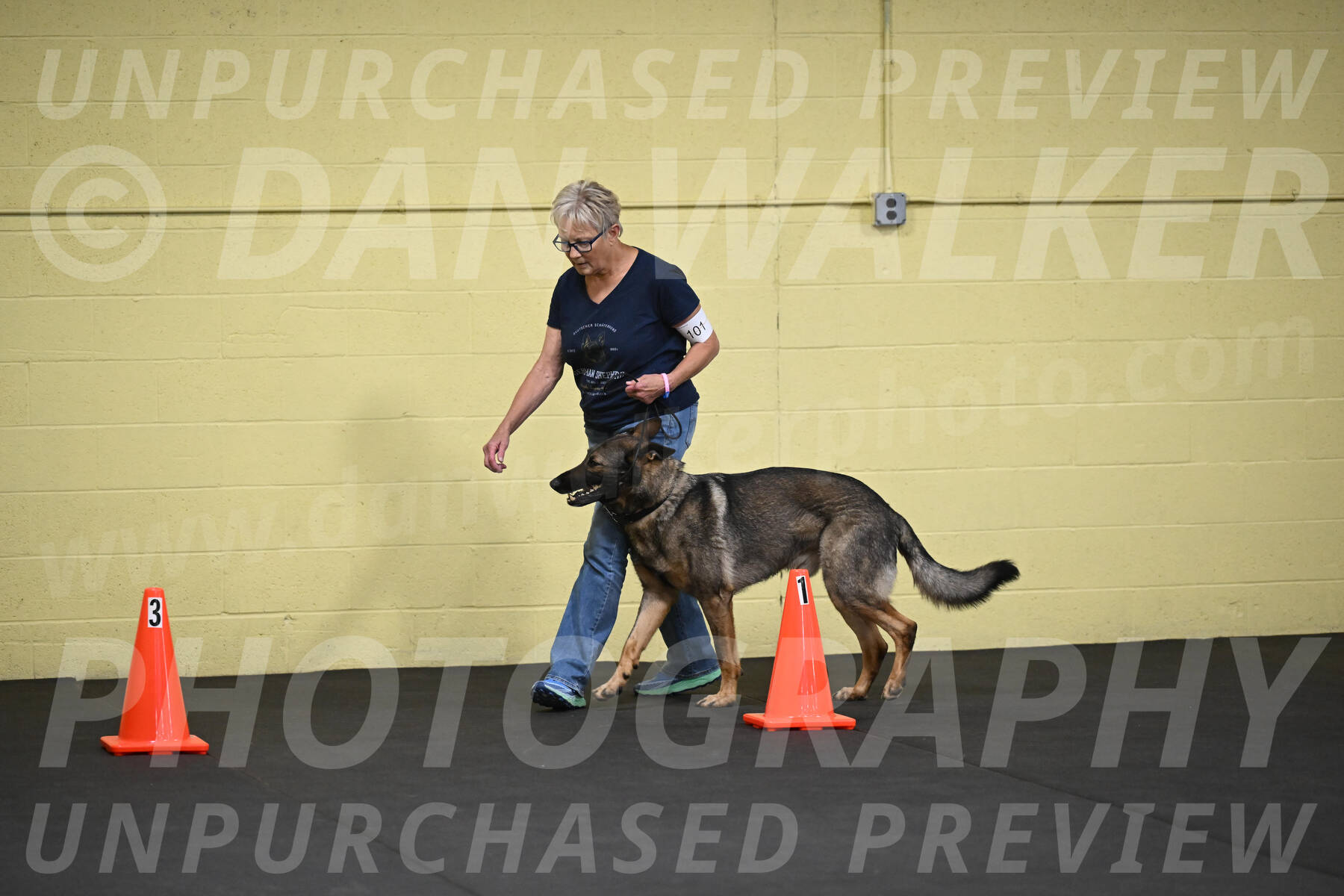 SAT101_0043