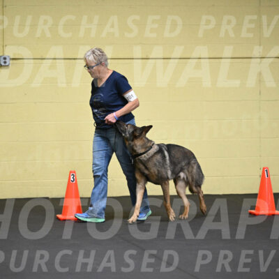 SAT101_0052