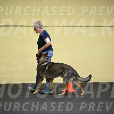 SAT101_0060