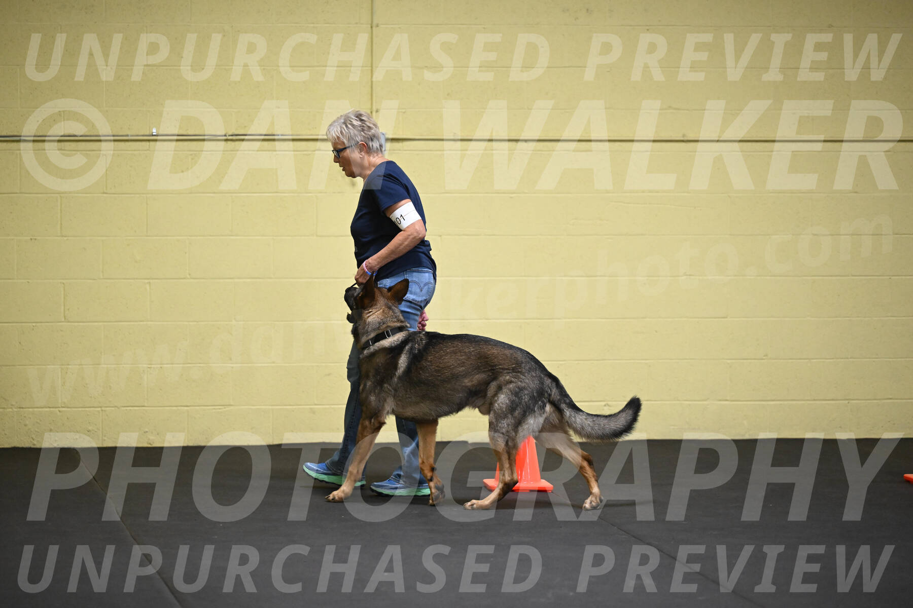 SAT101_0060