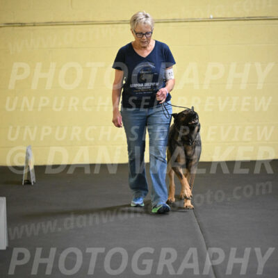SAT101_0065