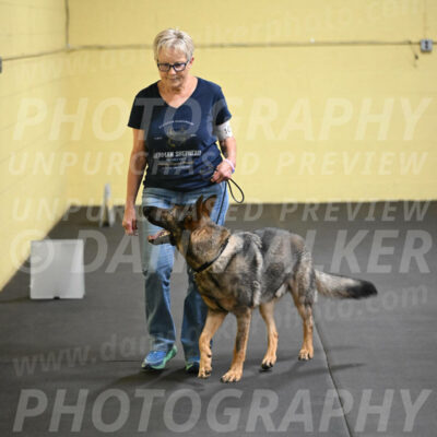 SAT101_0095