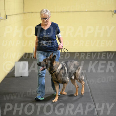 SAT101_0097