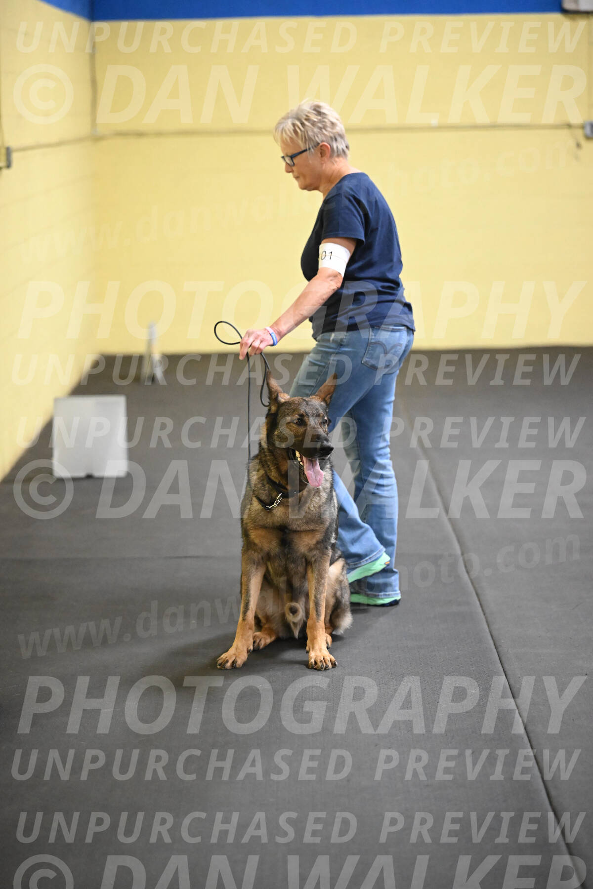 SAT101_0110