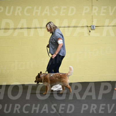 SAT102_0031