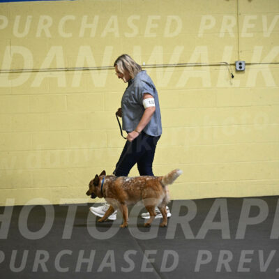SAT102_0032