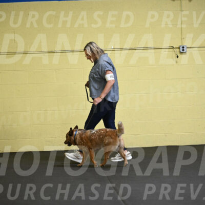 SAT102_0033