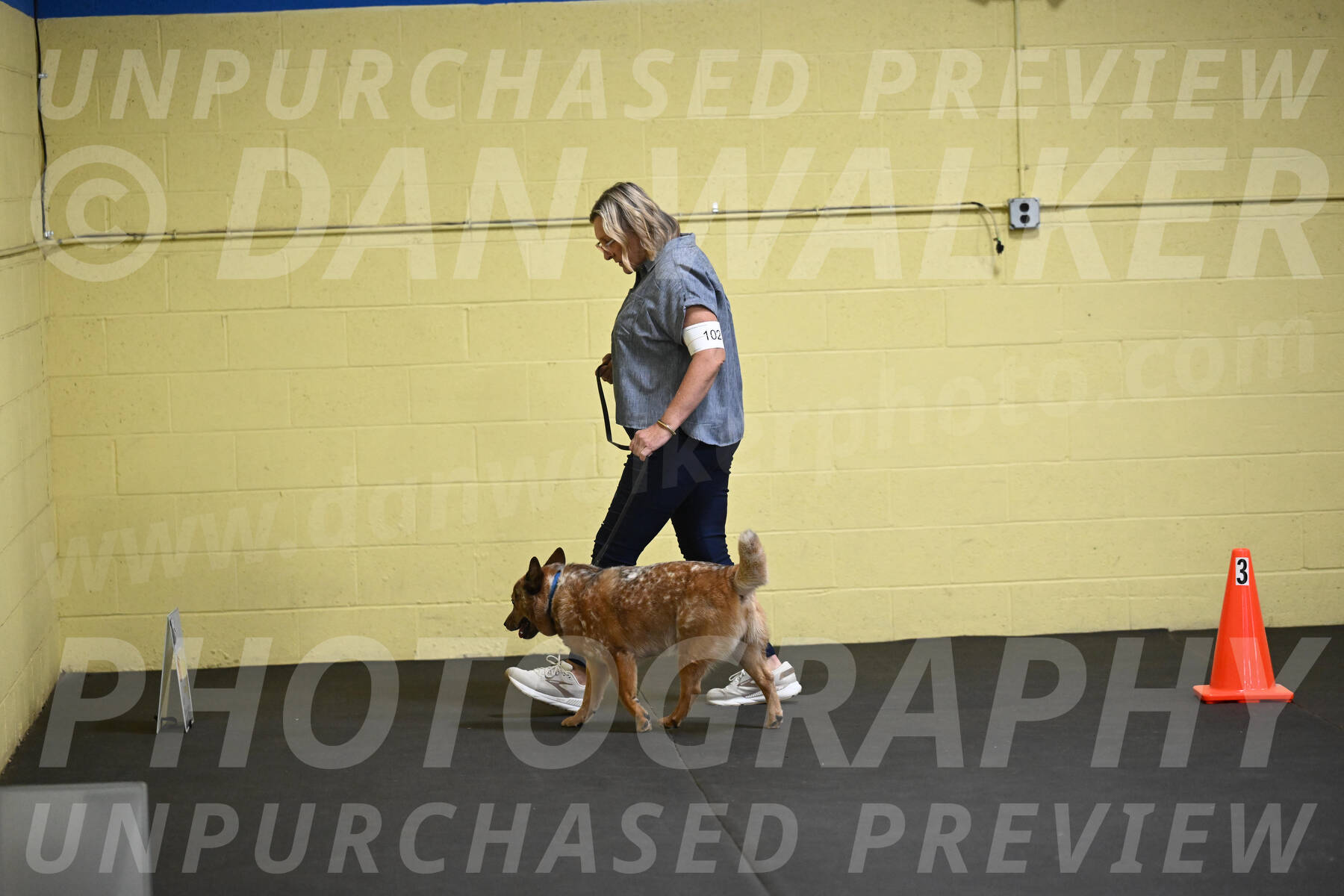 SAT102_0033