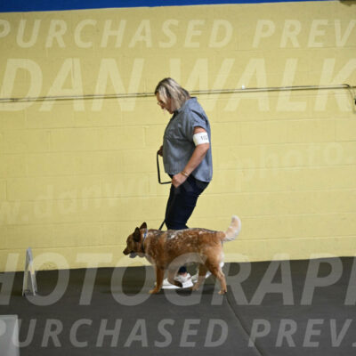 SAT102_0035