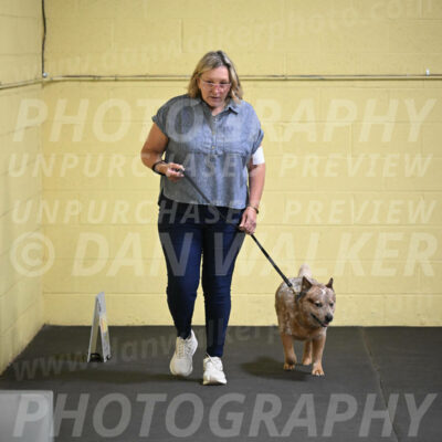 SAT102_0039