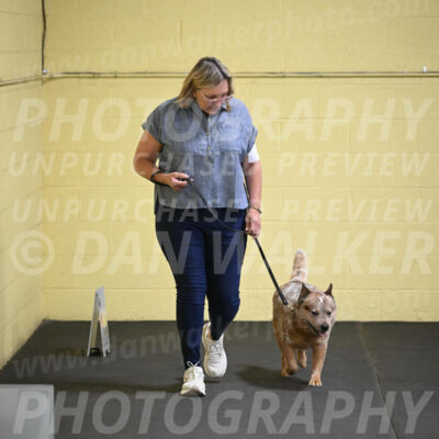 SAT102_0040