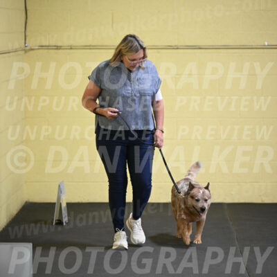 SAT102_0041