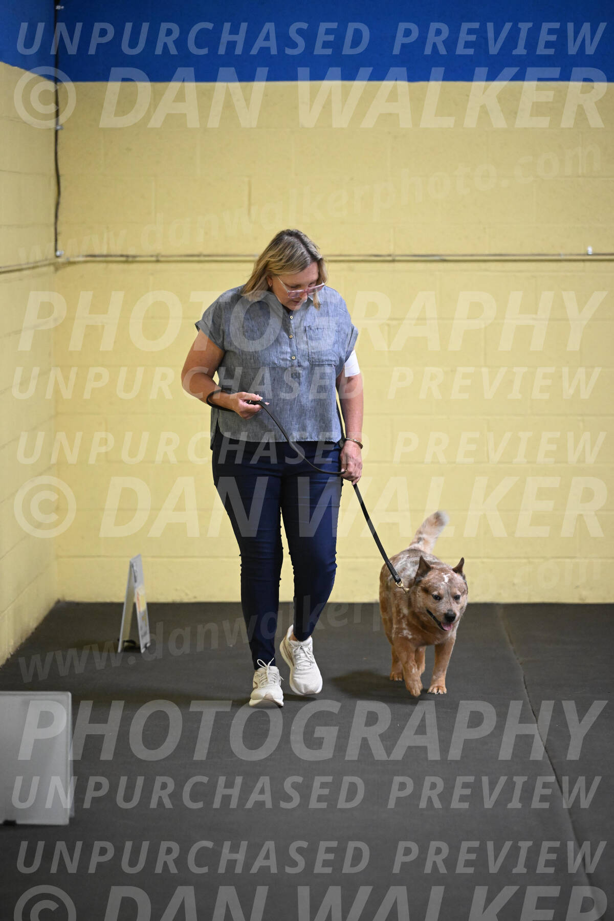 SAT102_0041