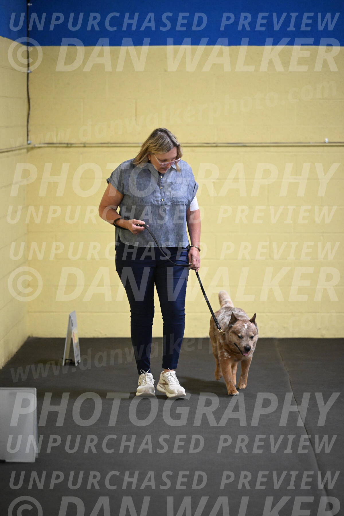 SAT102_0042