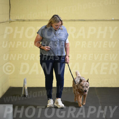 SAT102_0042