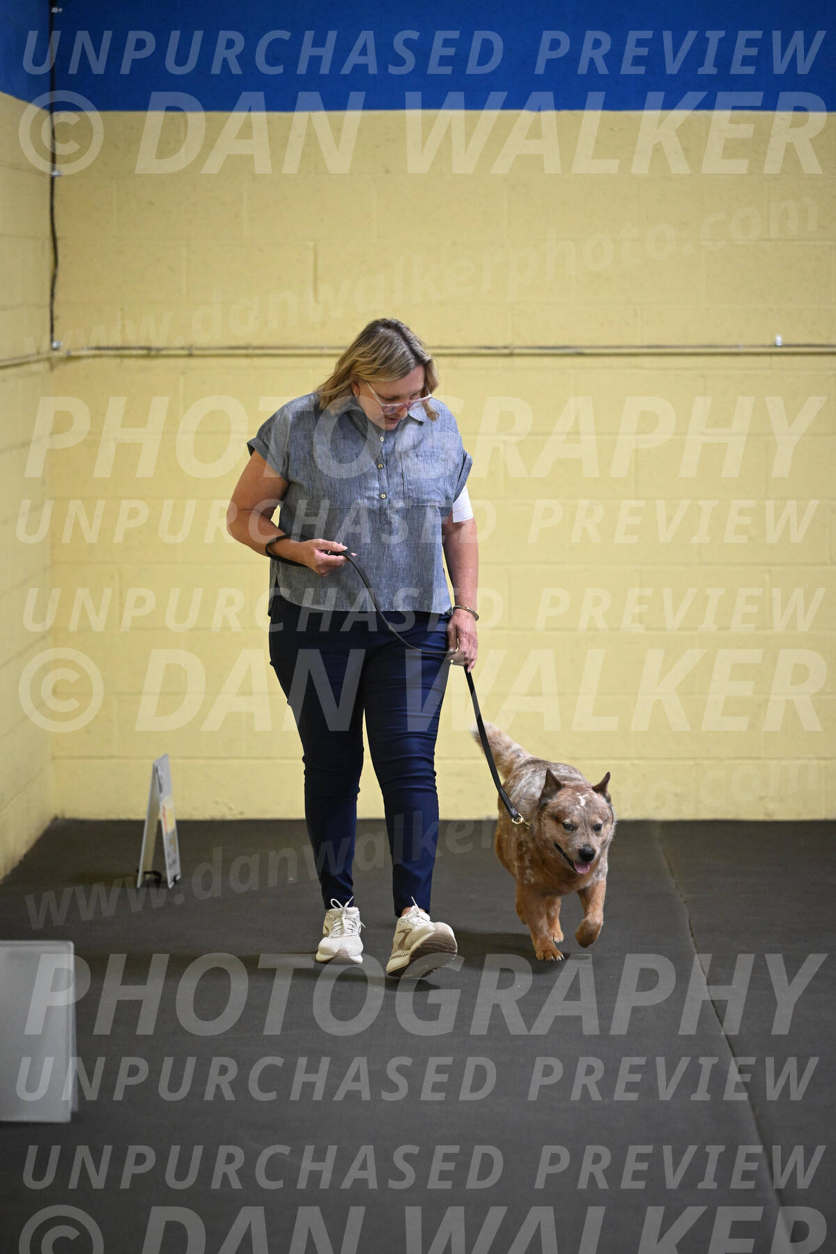 SAT102_0043