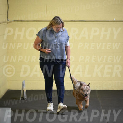 SAT102_0043