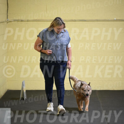 SAT102_0044