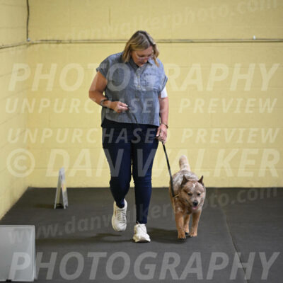 SAT102_0046