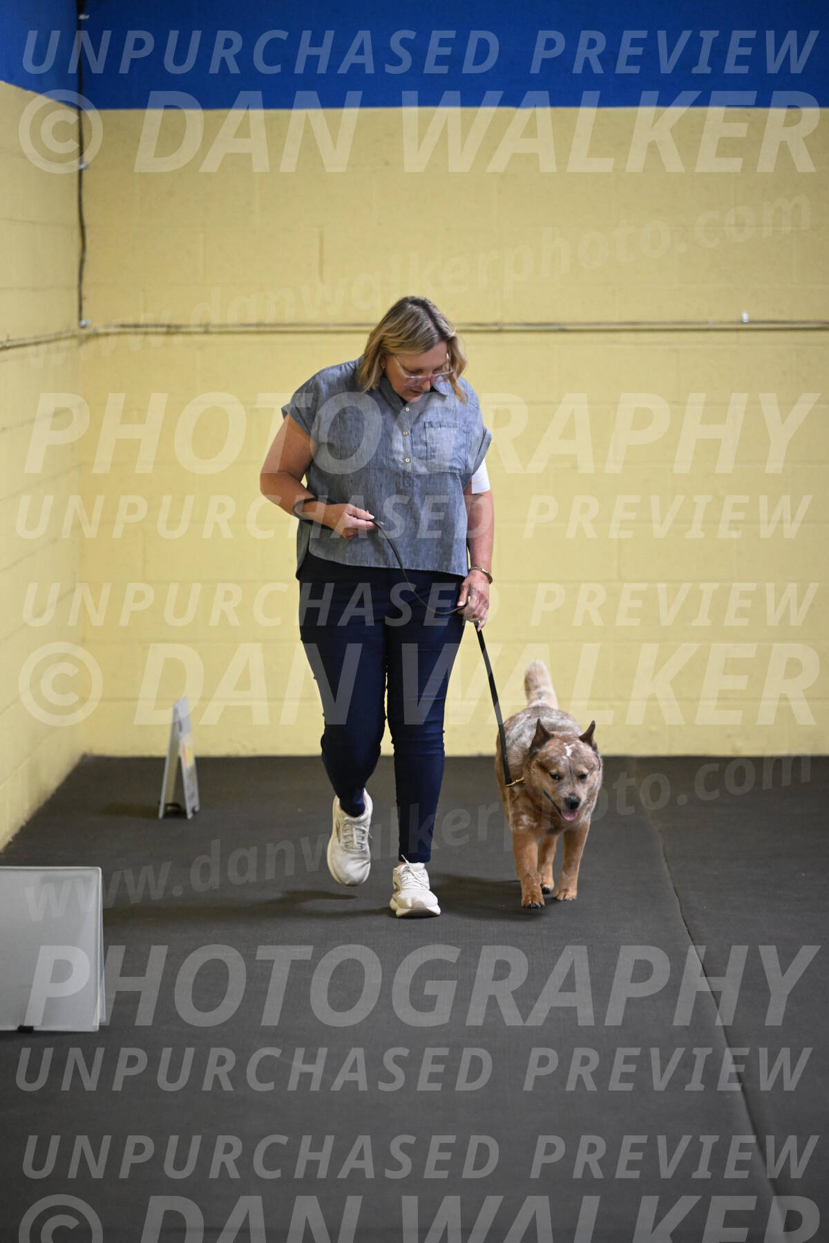 SAT102_0046