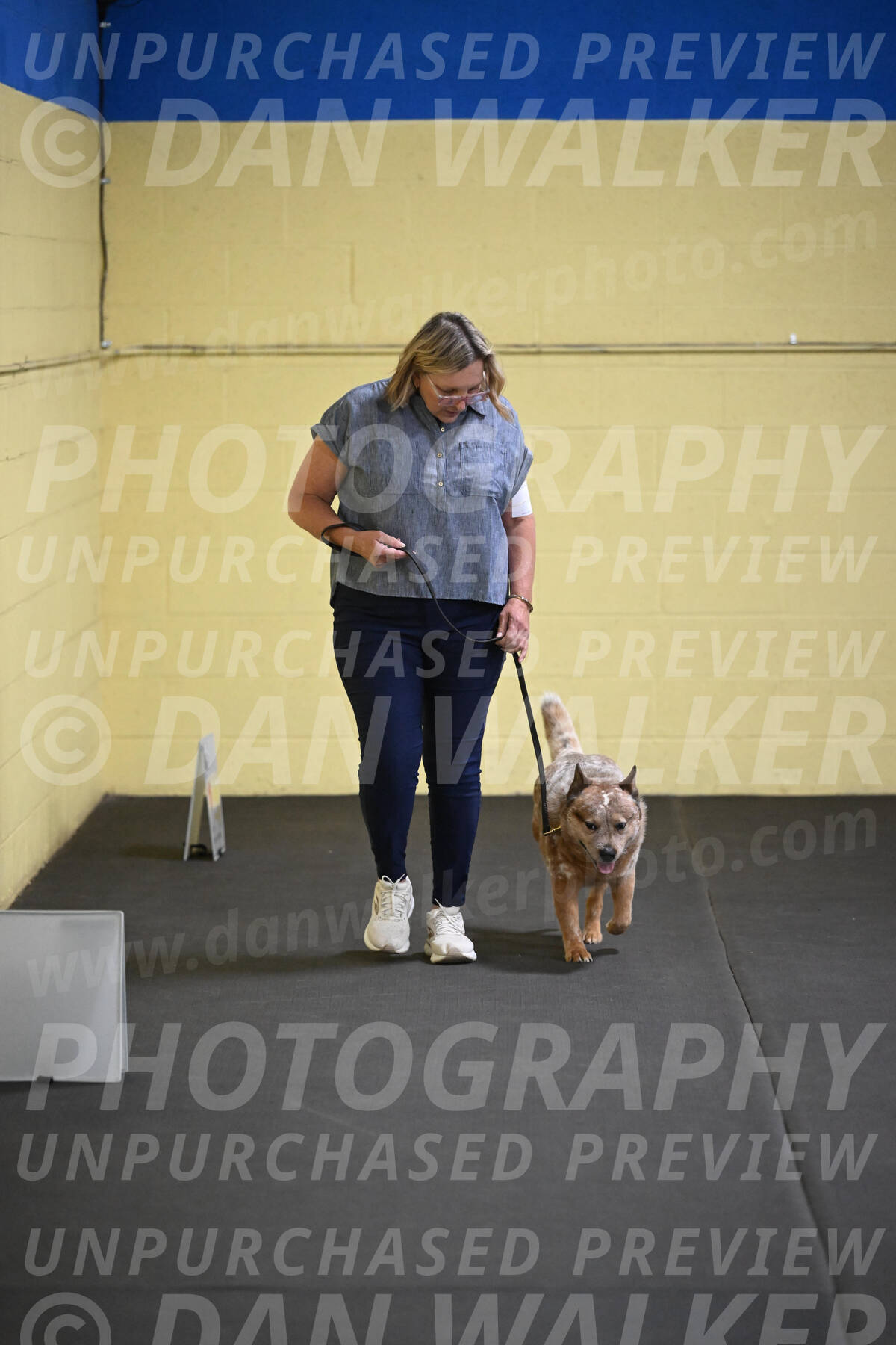 SAT102_0047