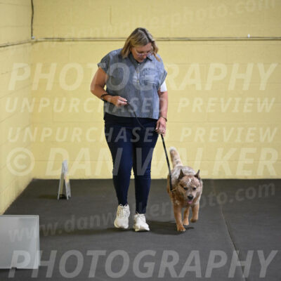 SAT102_0047