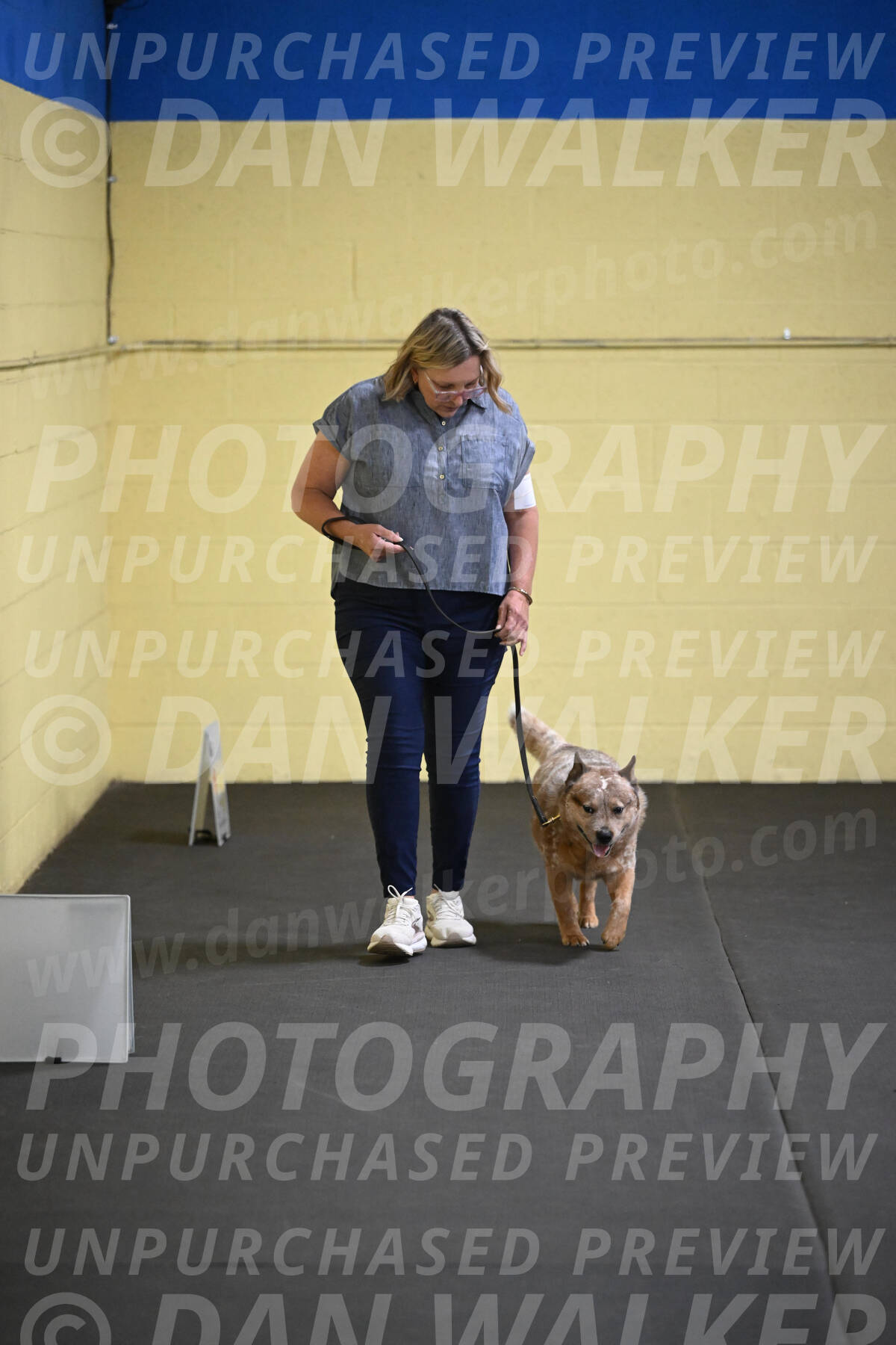 SAT102_0048