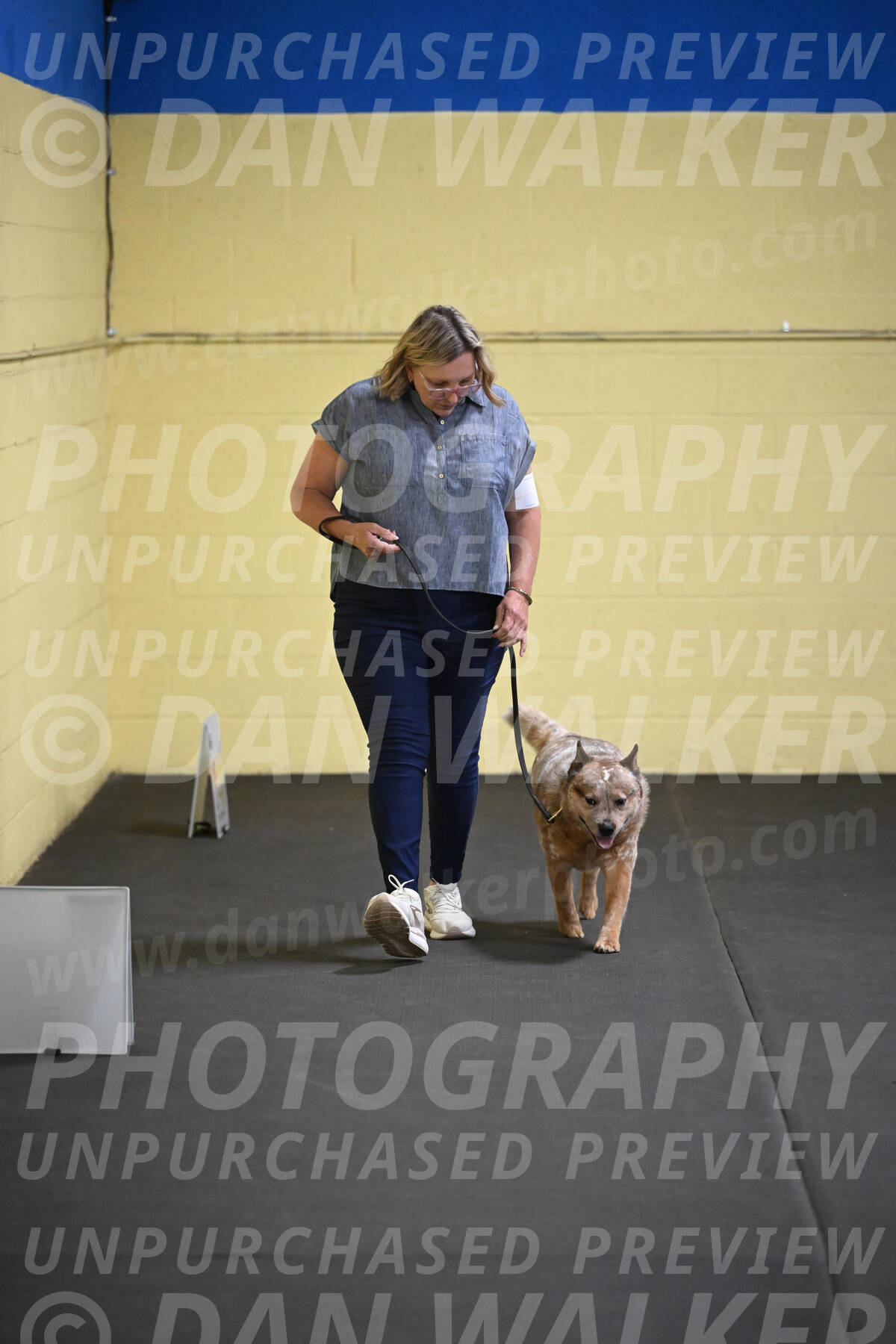 SAT102_0049