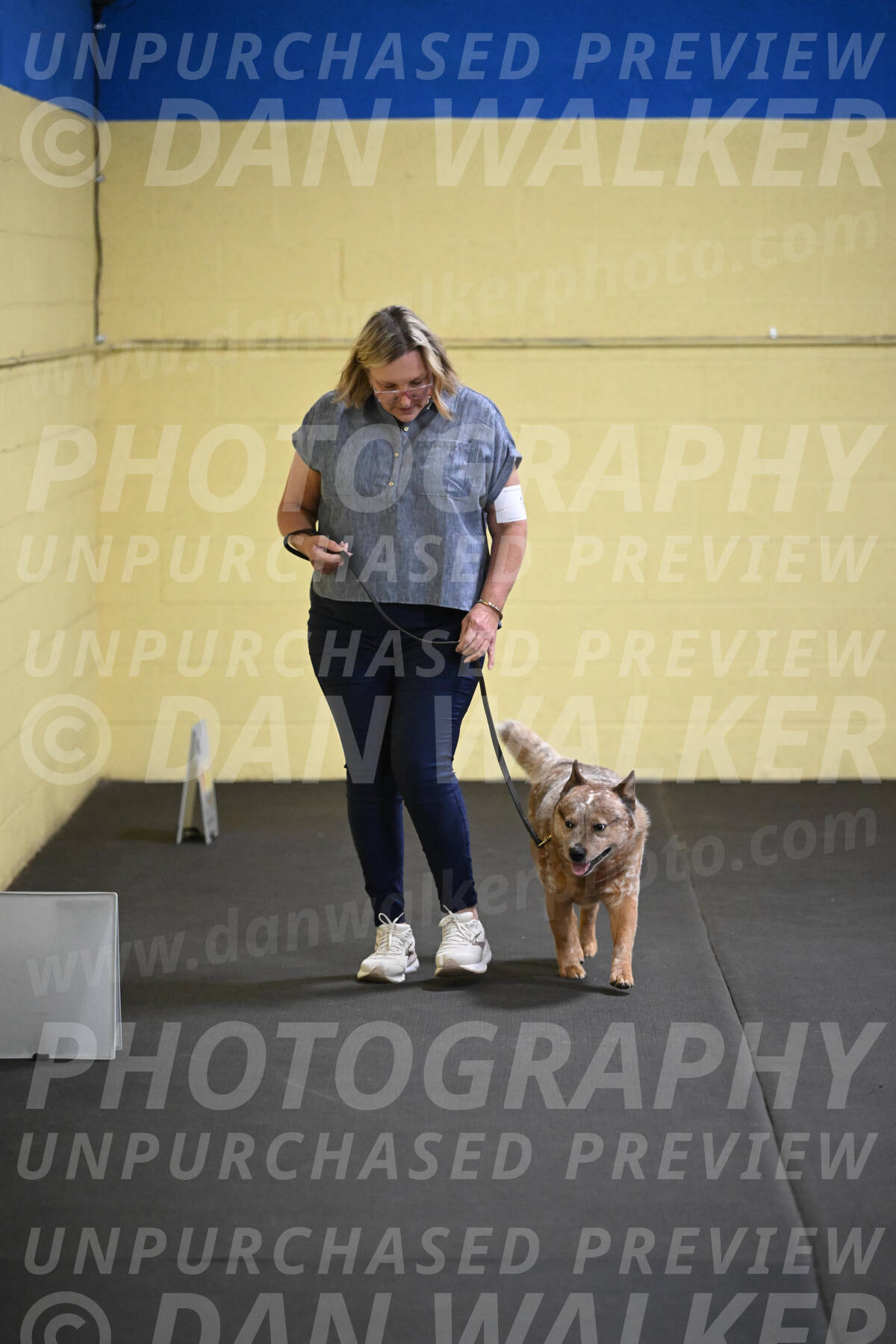 SAT102_0054