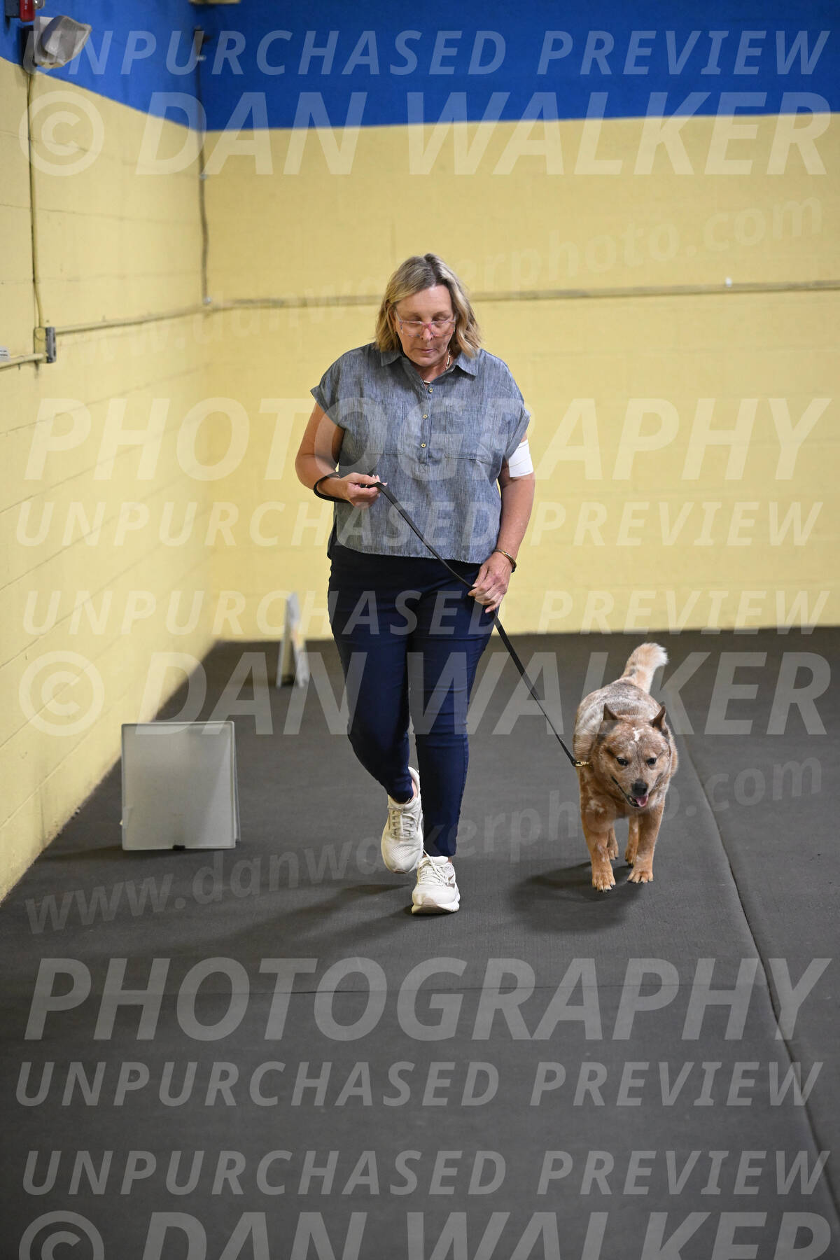 SAT102_0061