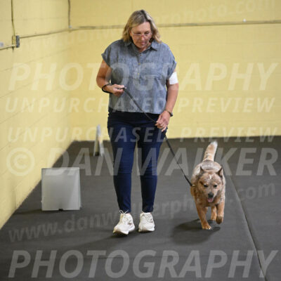 SAT102_0062