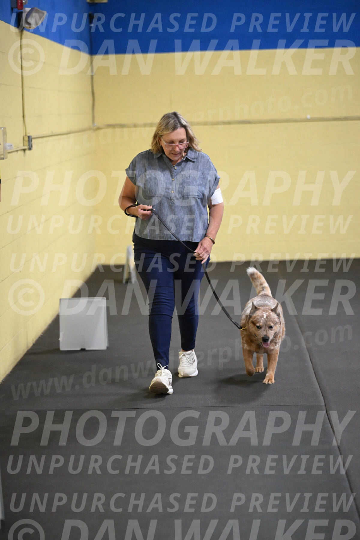 SAT102_0064