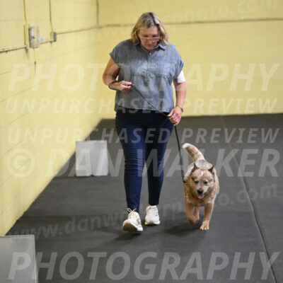 SAT102_0073