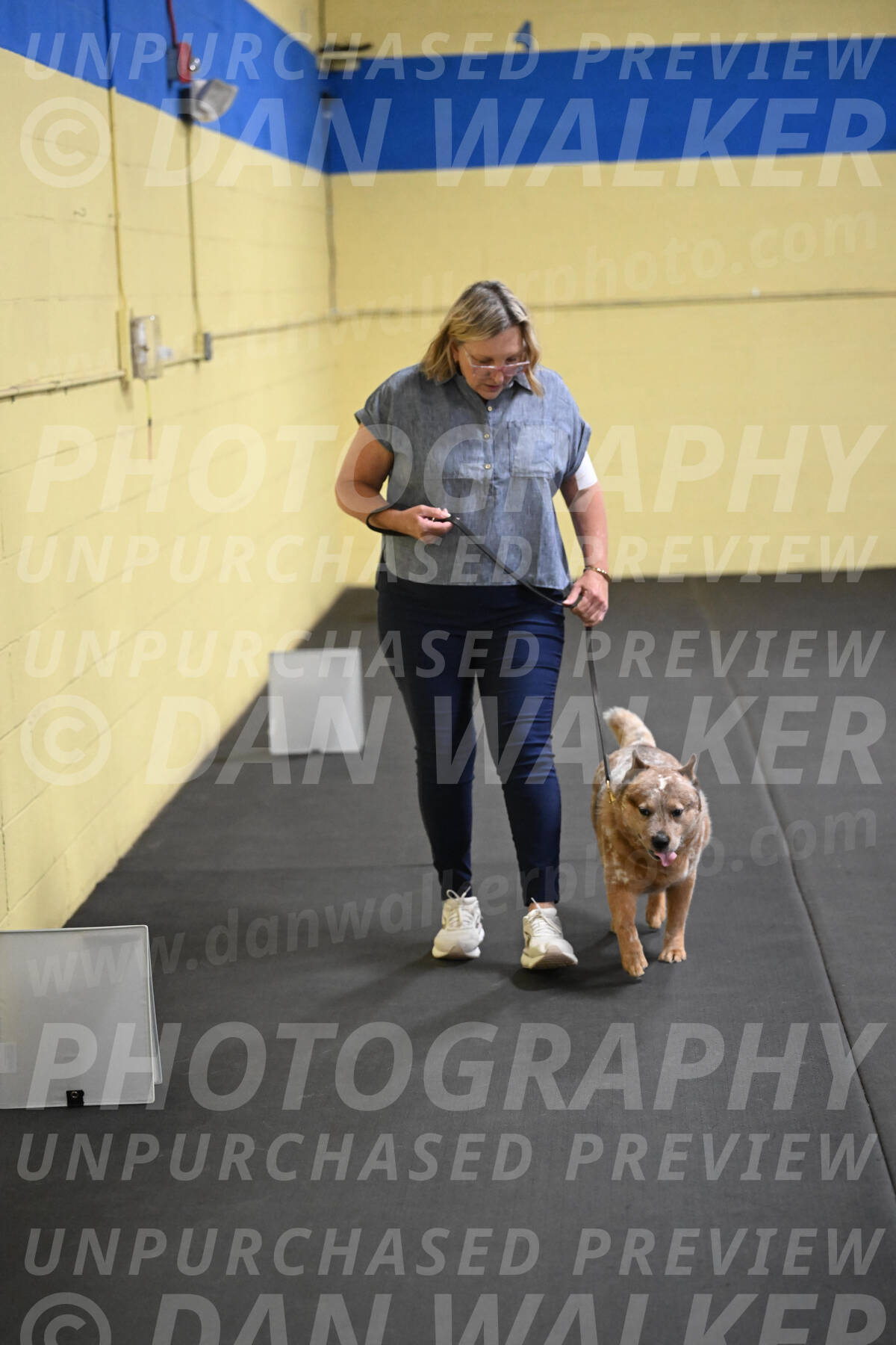 SAT102_0078