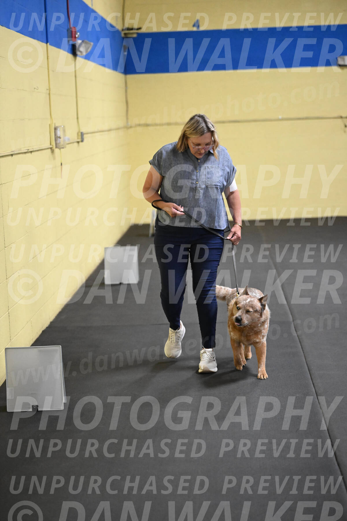 SAT102_0081