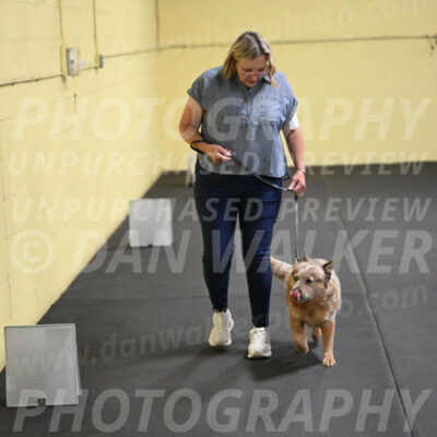 SAT102_0082