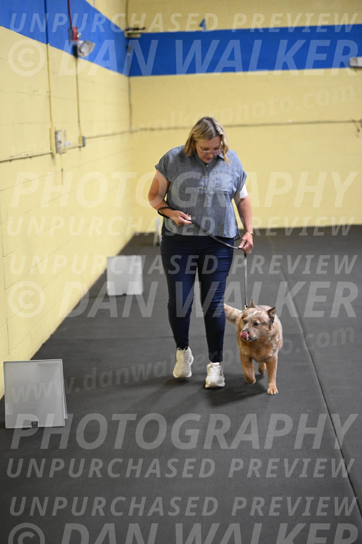 SAT102_0082