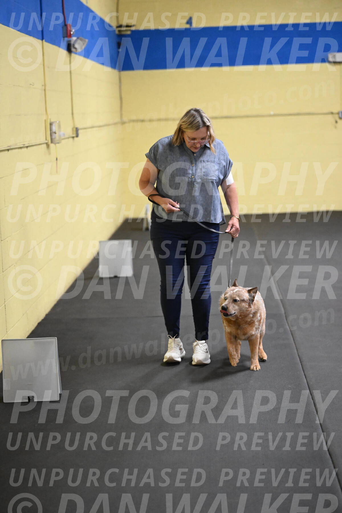 SAT102_0083
