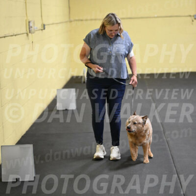 SAT102_0083