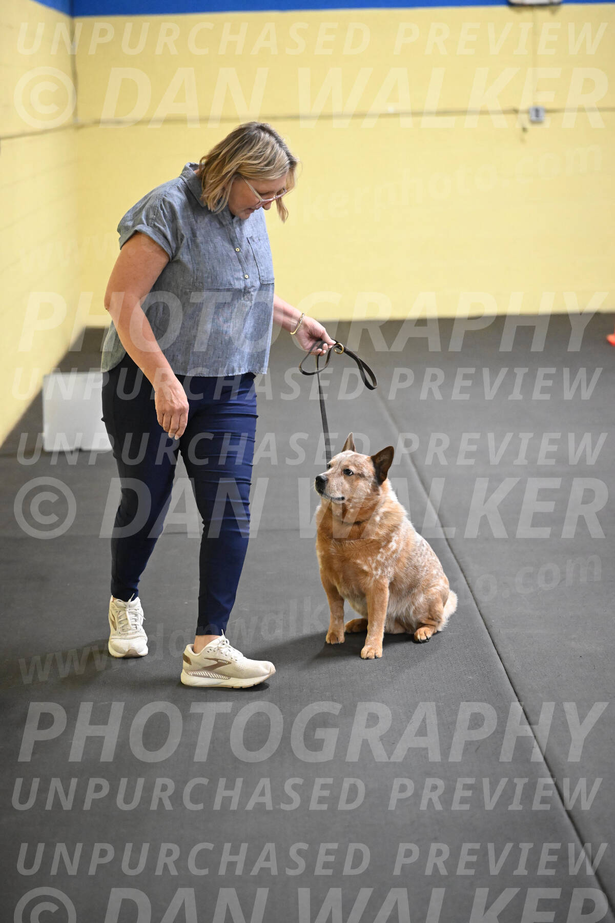 SAT102_0084