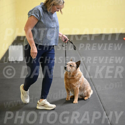 SAT102_0085