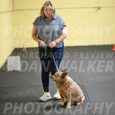 SAT102_0087