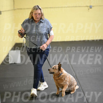 SAT102_0088