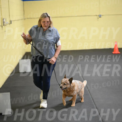 SAT102_0091