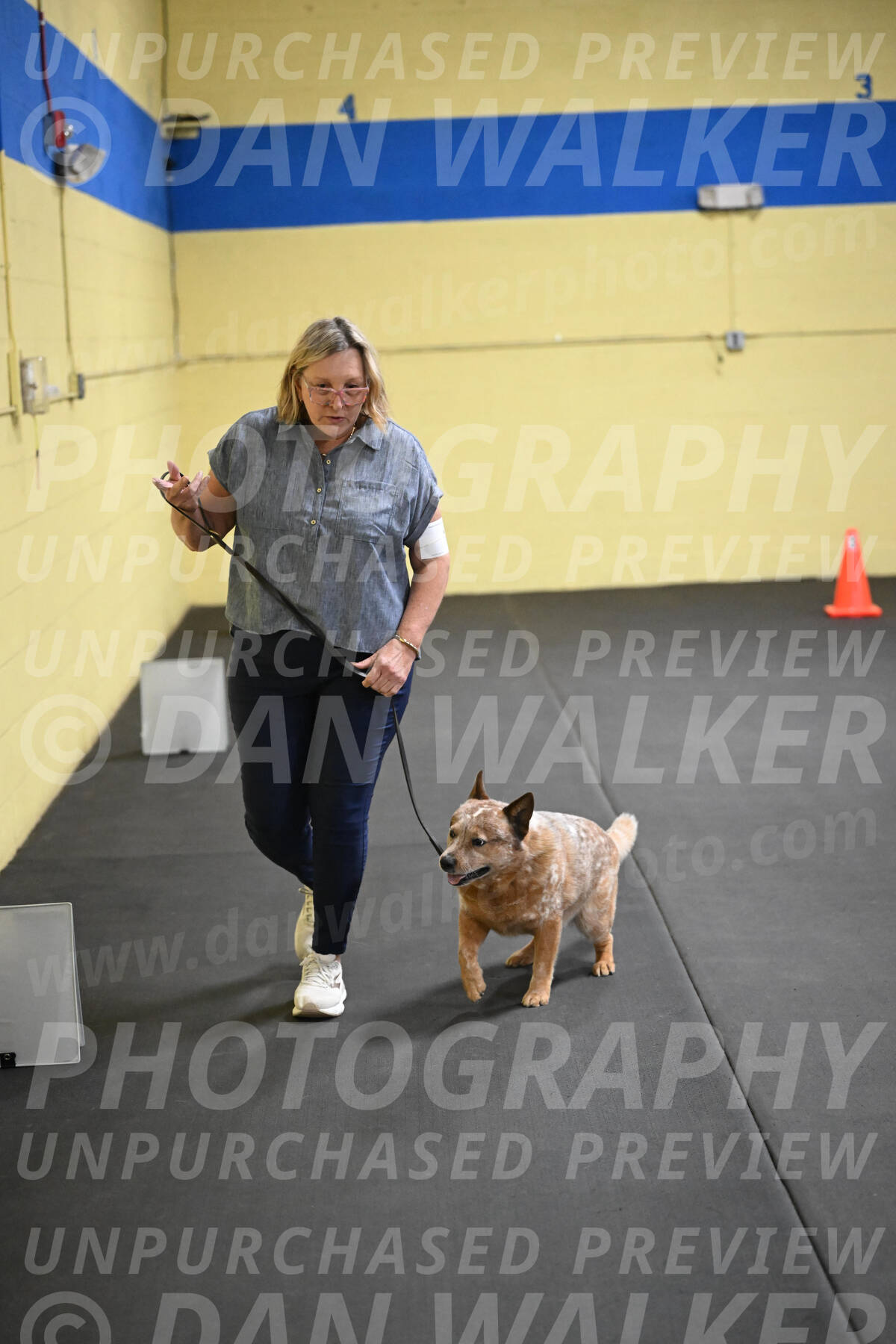 SAT102_0091