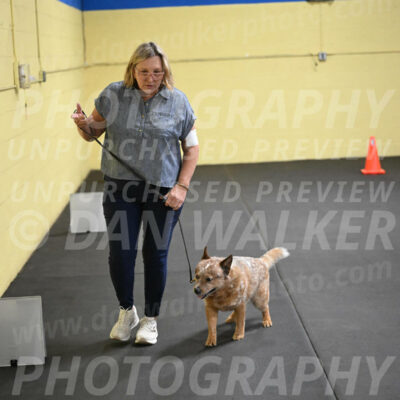 SAT102_0092