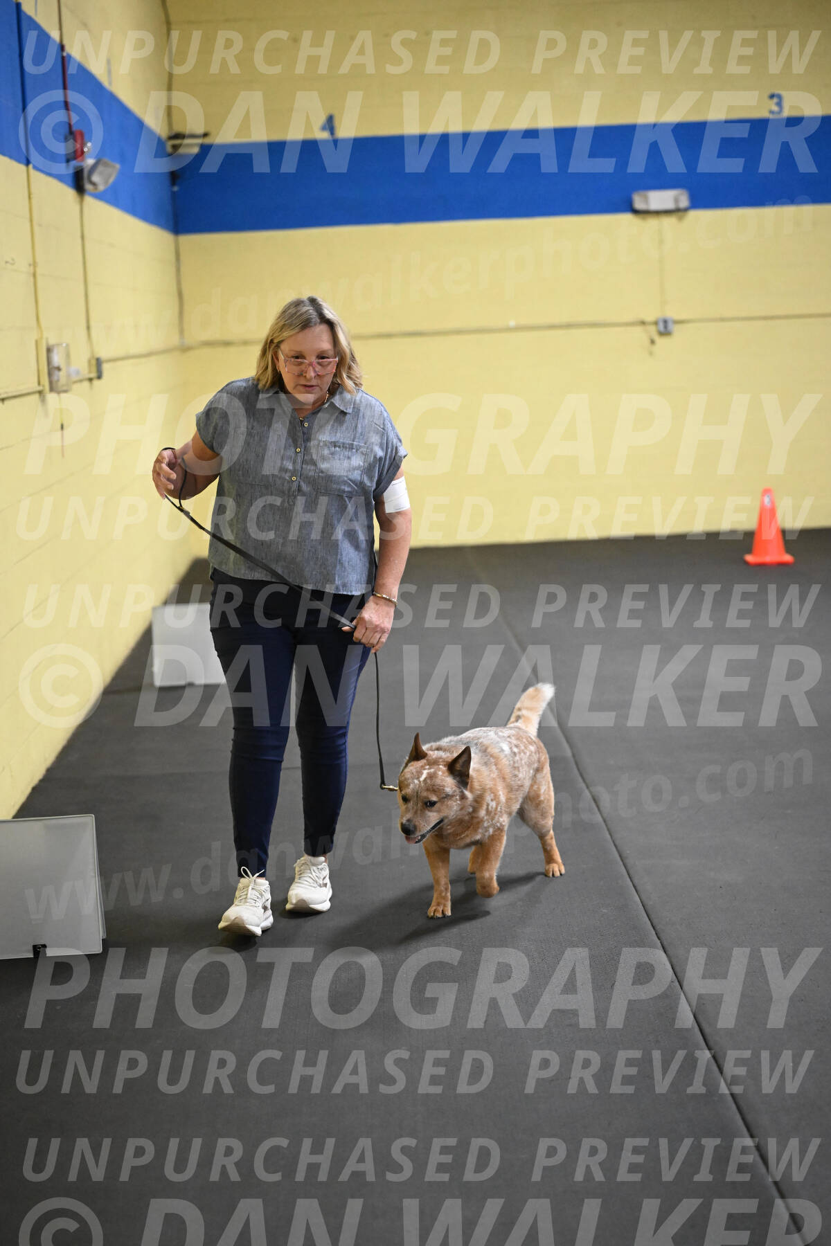 SAT102_0093