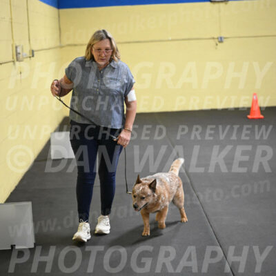 SAT102_0093